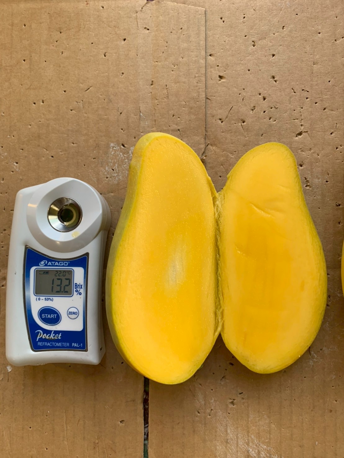 タイ産マンゴー マハチャノ種