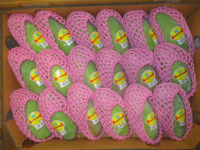 タイ産マンゴー マハチャノ種